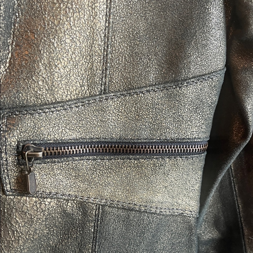 D’coras Metallic Leather Jacket - image 4